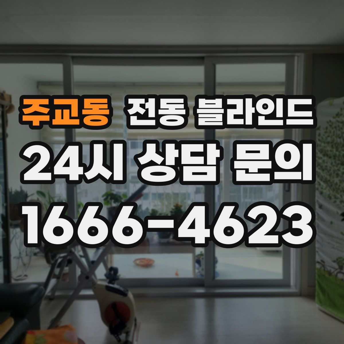 주교동 전동 블라인드