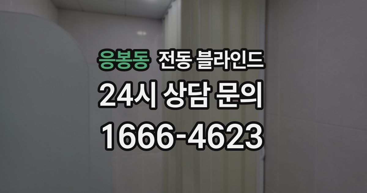 응봉동 전동 블라인드