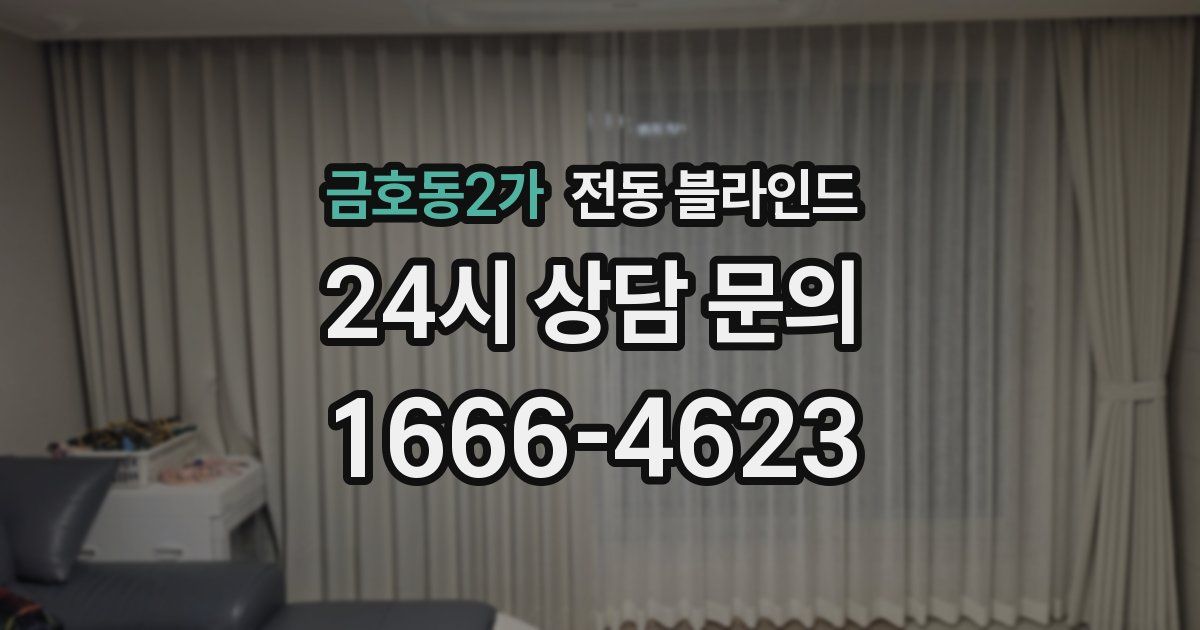 금호동2가 전동 블라인드