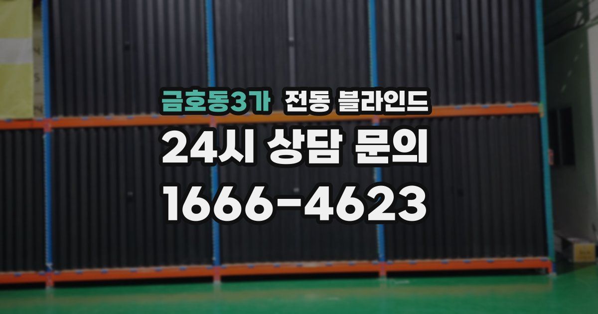 금호동3가 전동 블라인드
