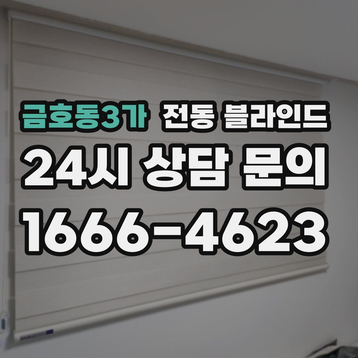 금호동3가 전동 블라인드