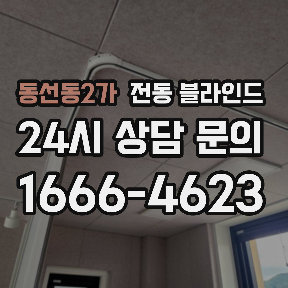 동선동2가 전동 블라인드