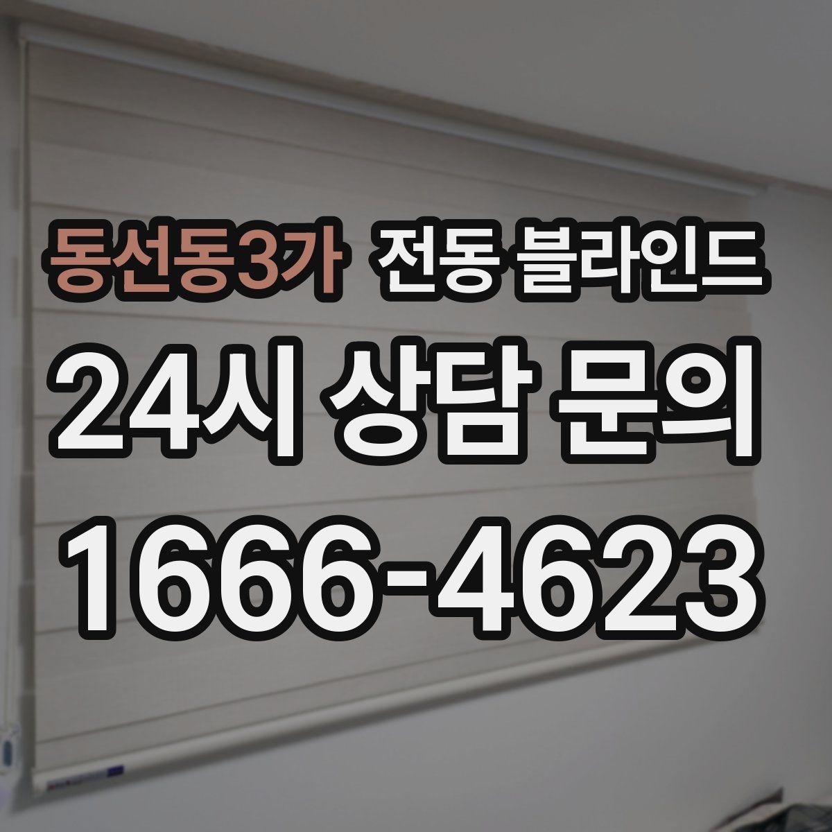 동선동3가 전동 블라인드