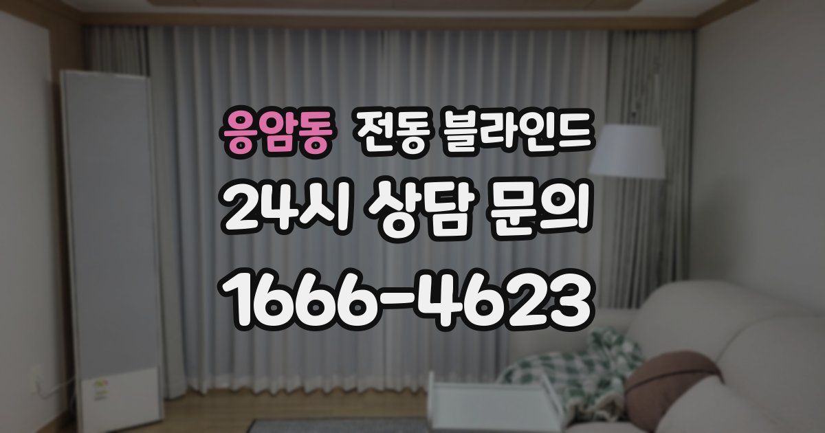 응암동 전동 블라인드