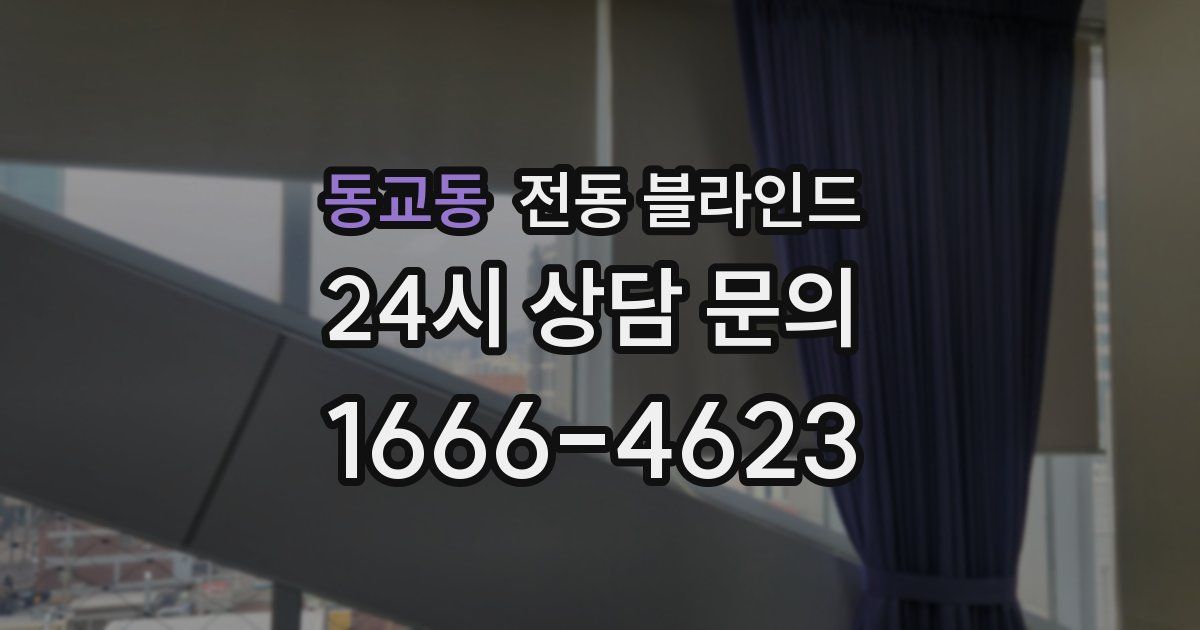 동교동 전동 블라인드