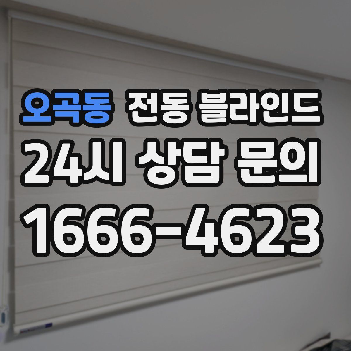 오곡동 전동 블라인드