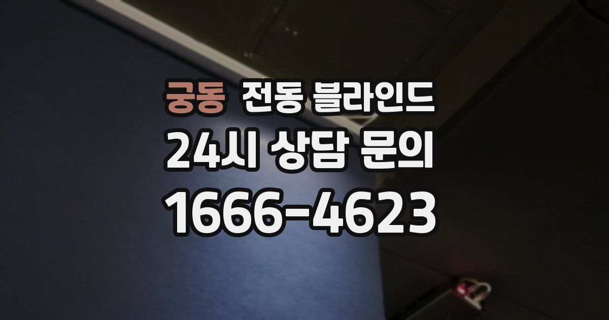 궁동 전동 블라인드