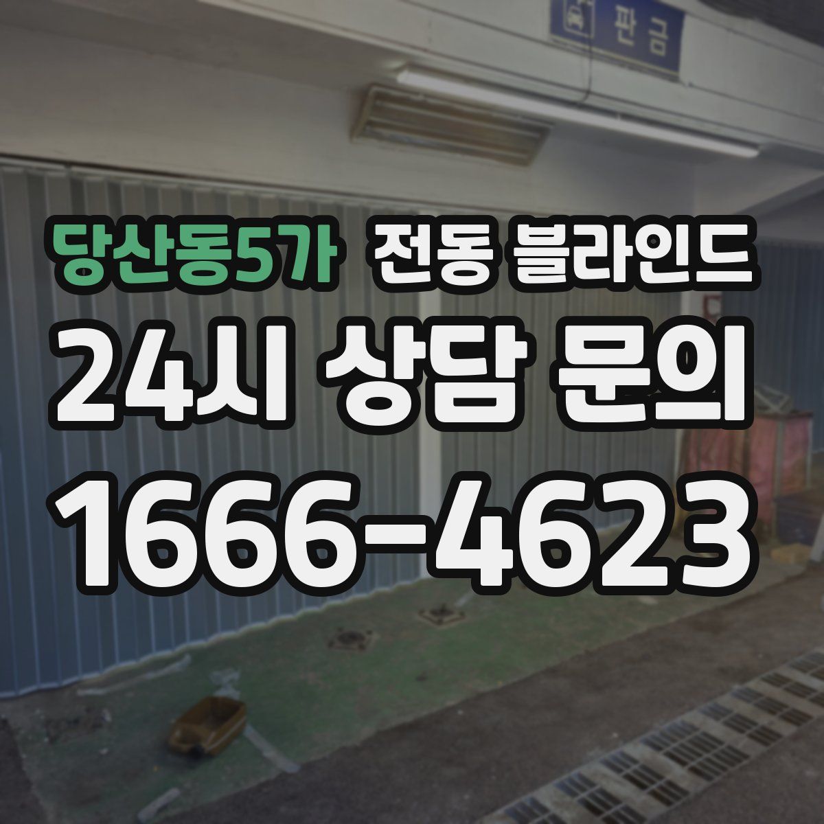 당산동5가 전동 블라인드