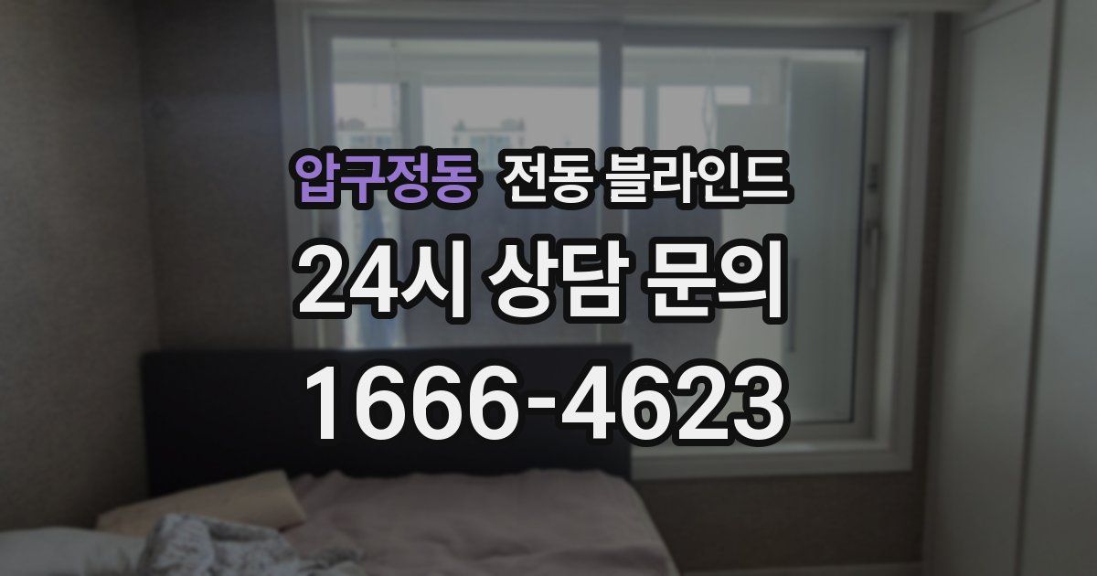 압구정동 전동 블라인드