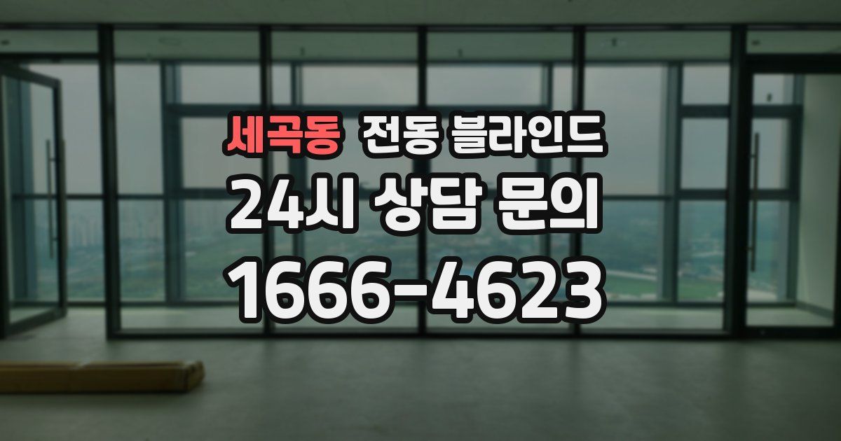세곡동 전동 블라인드