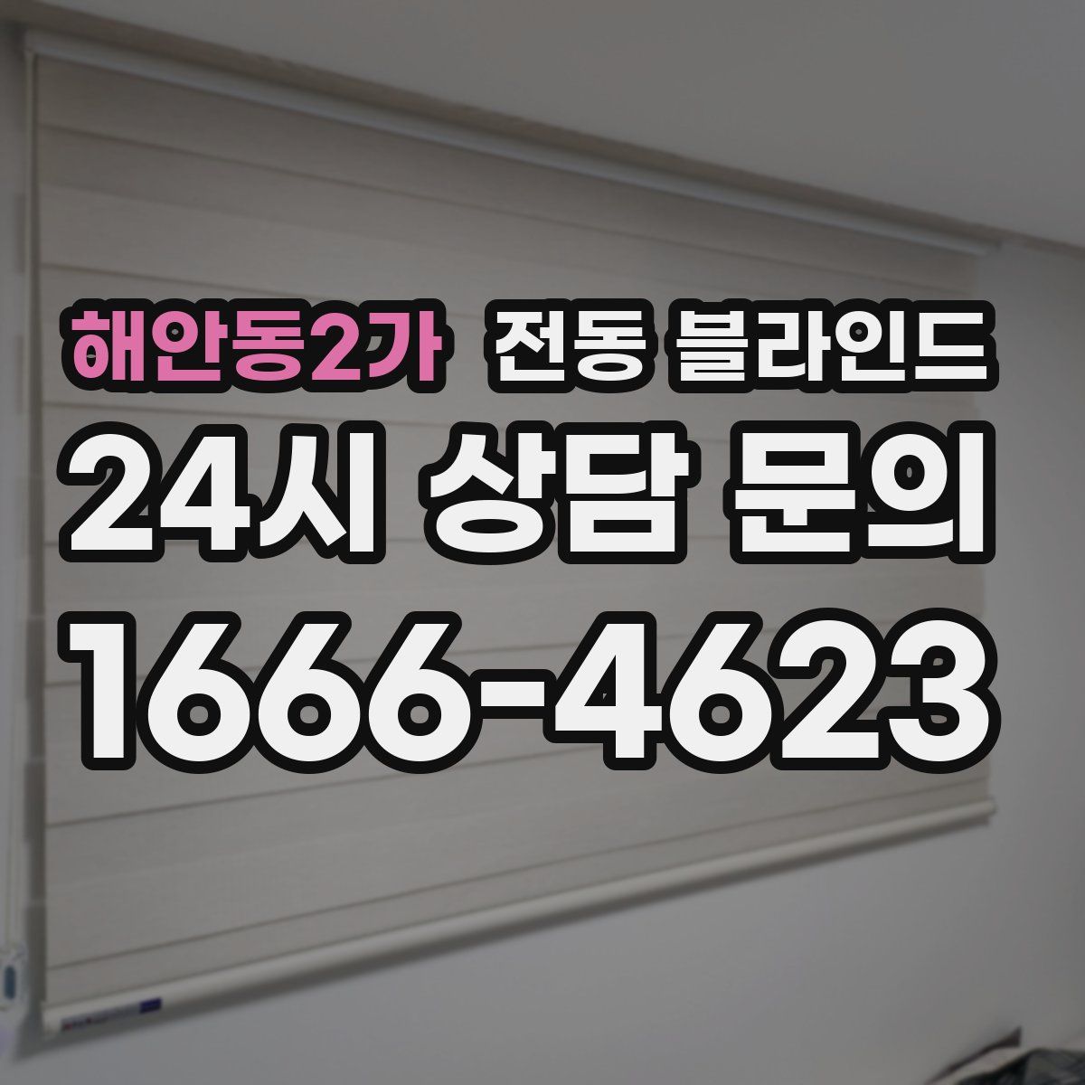 해안동2가 전동 블라인드