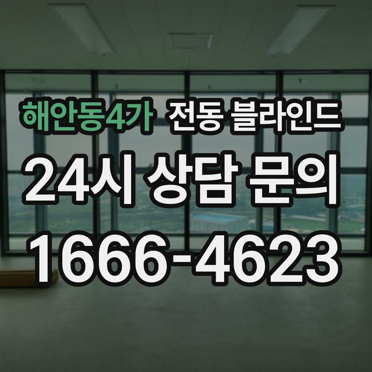 해안동4가 전동 블라인드