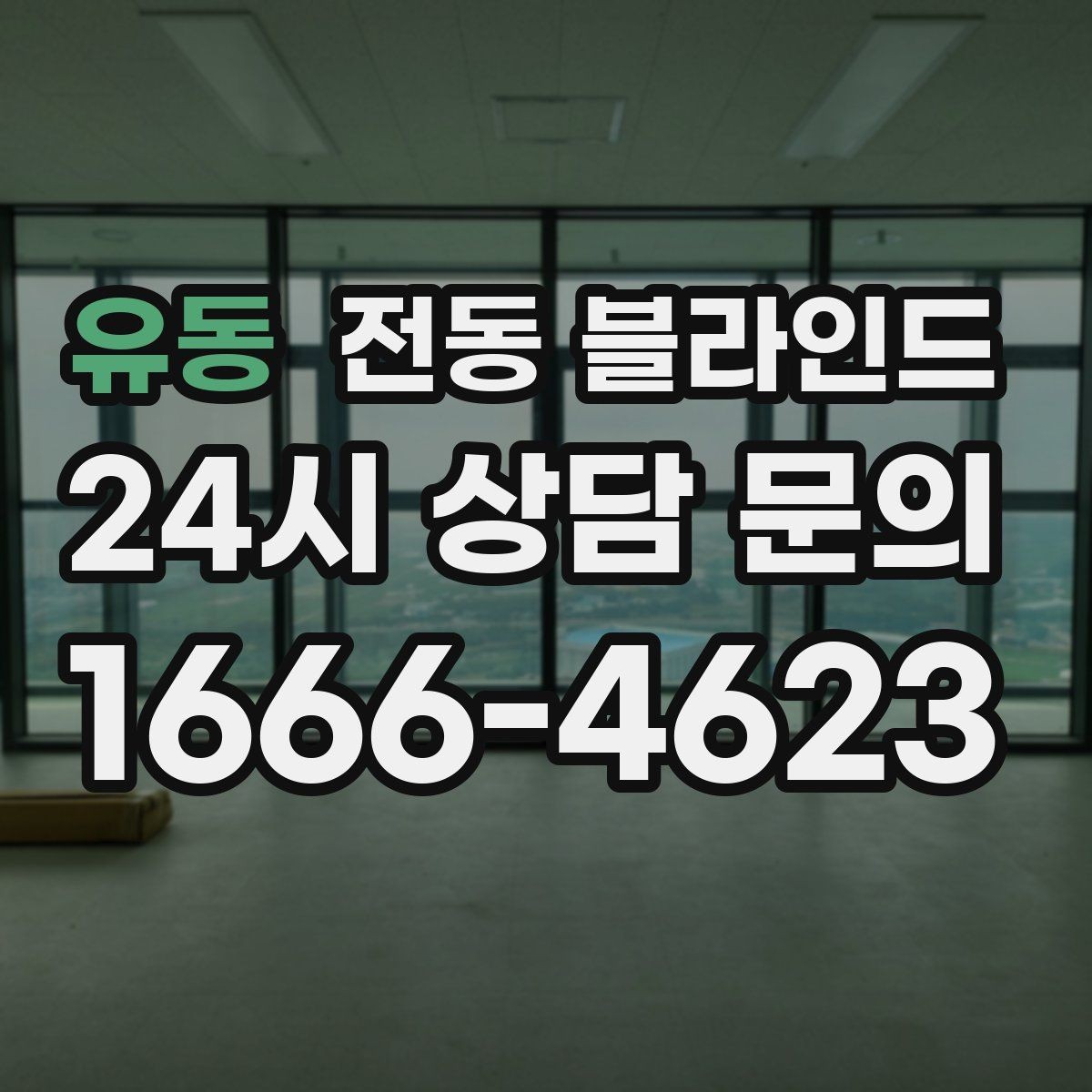 유동 전동 블라인드 롤스크린과의 차이 살펴보기