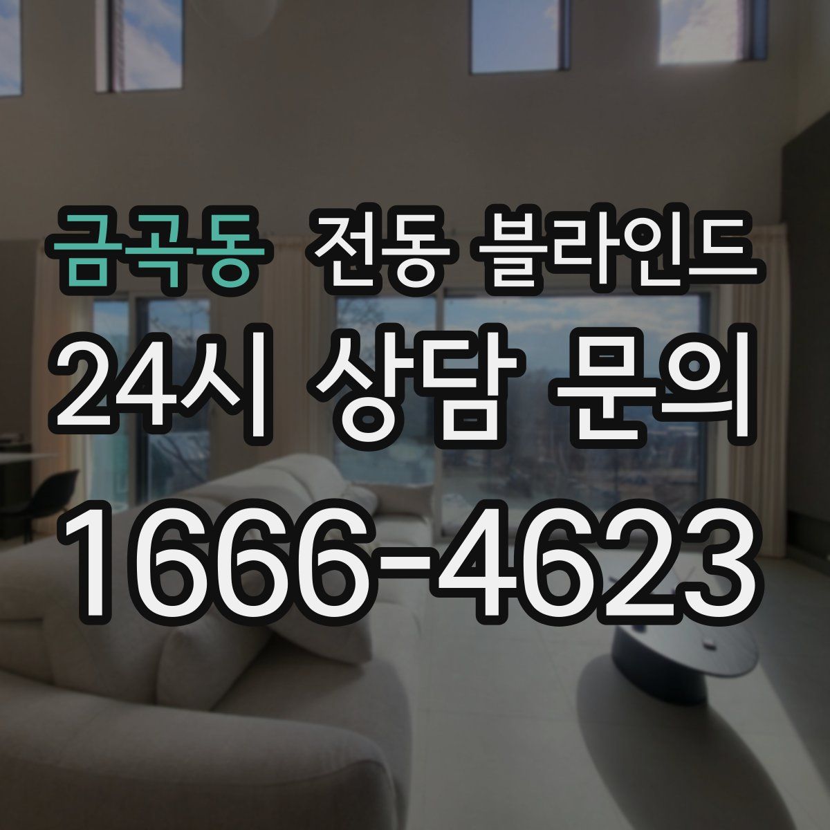 금곡동 전동 블라인드