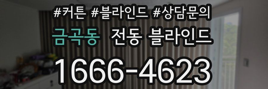 금곡동 전동 블라인드