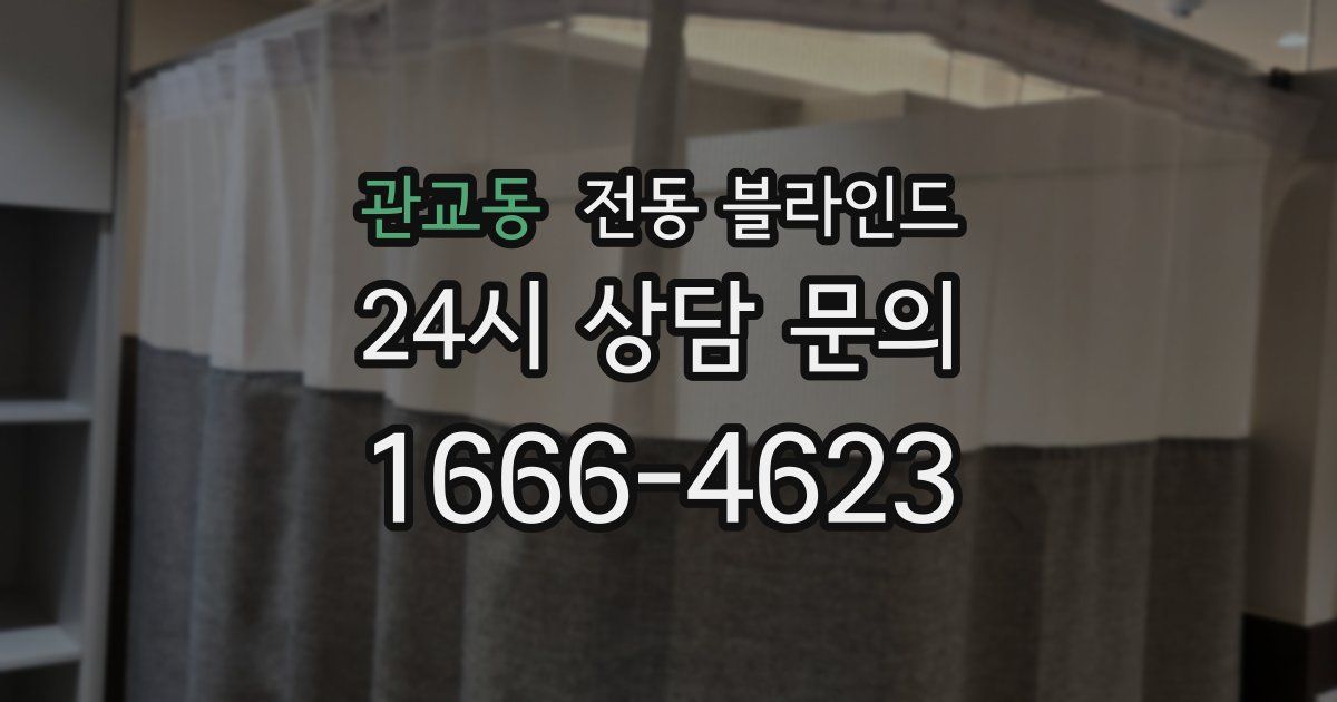관교동 전동 블라인드