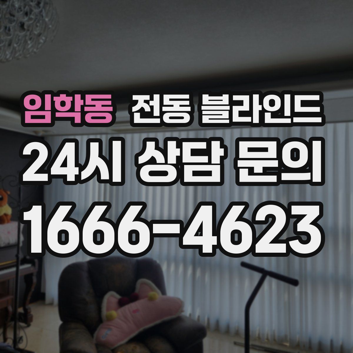 임학동 전동 블라인드