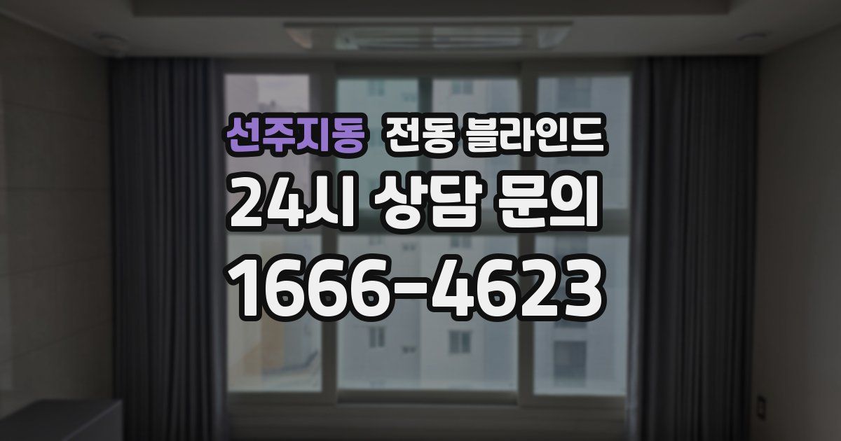 선주지동 전동 블라인드