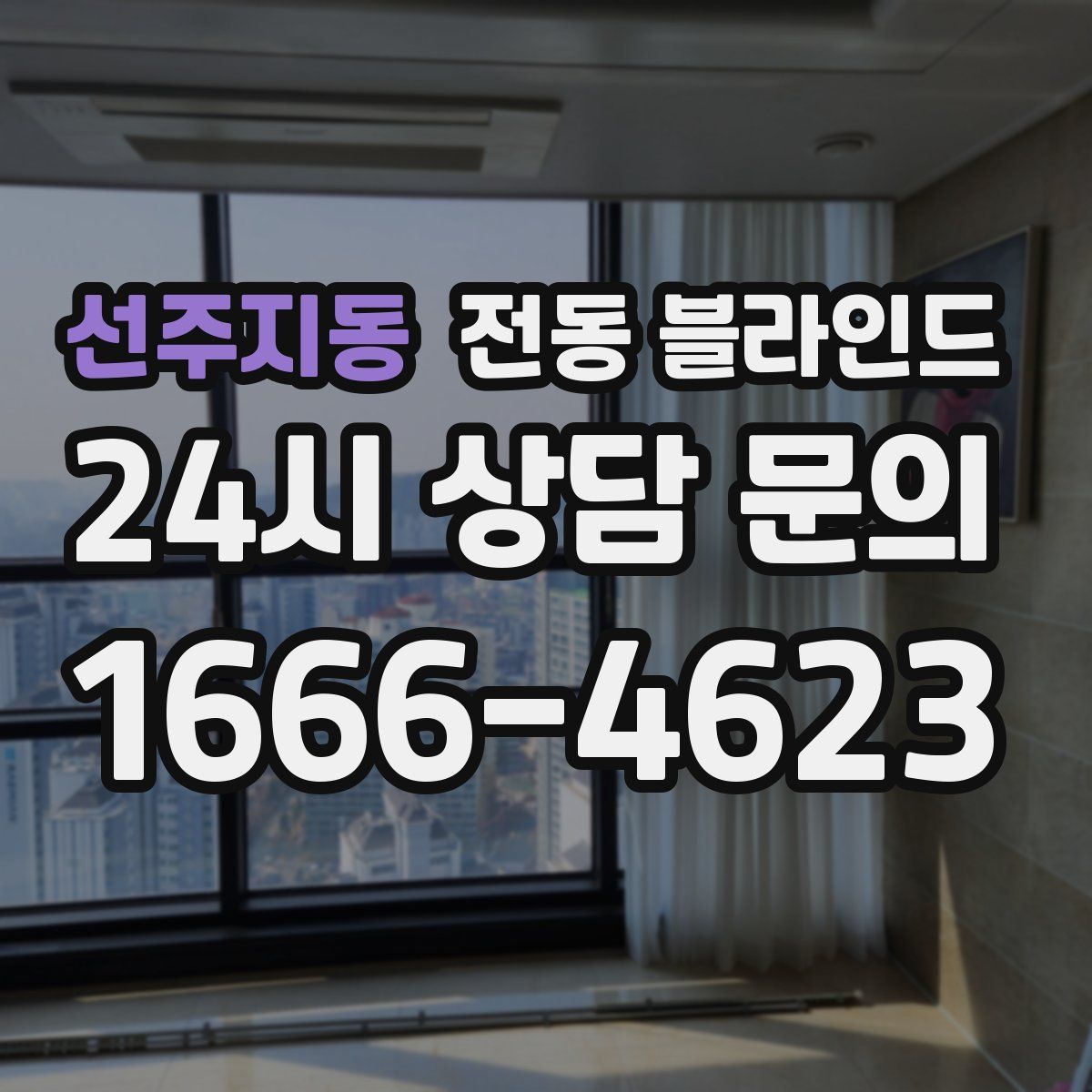 선주지동 전동 블라인드