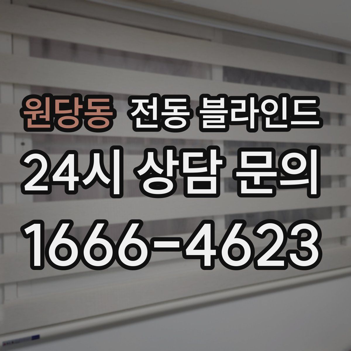 원당동 전동 블라인드