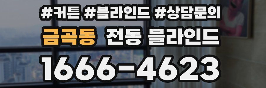 금곡동 전동 블라인드