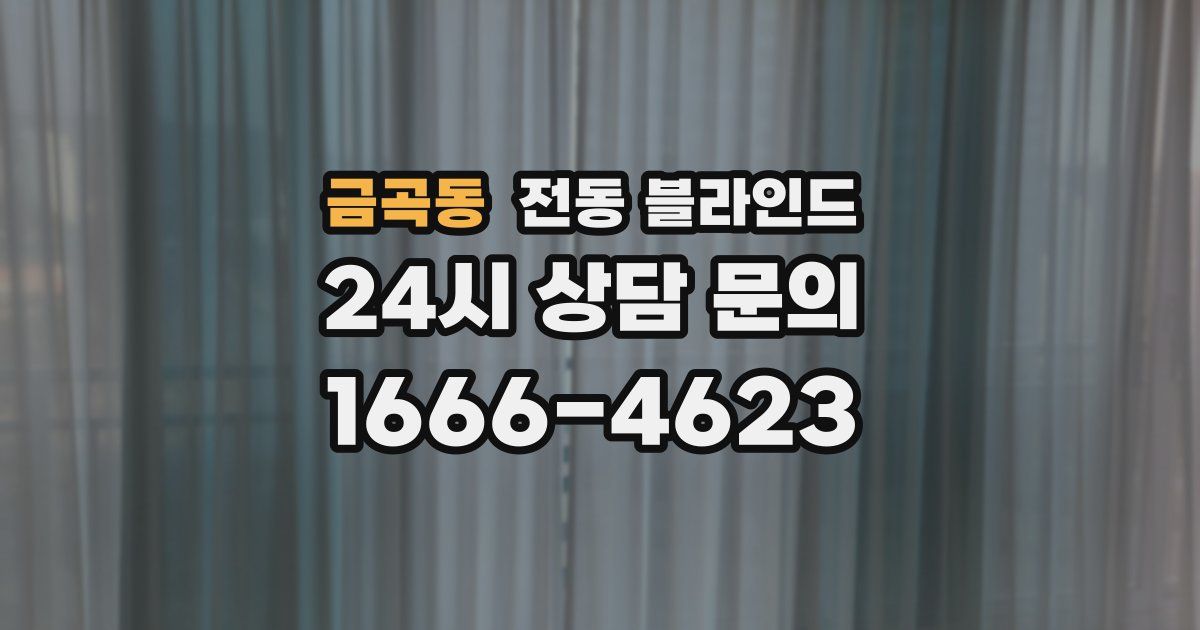 금곡동 전동 블라인드