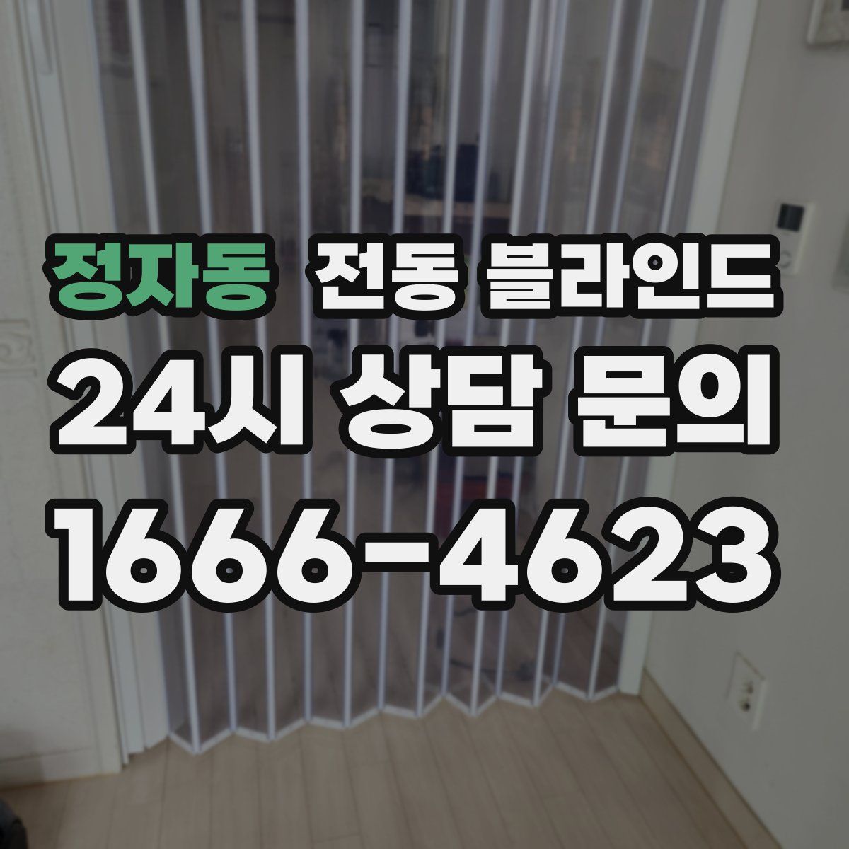 정자동 전동 블라인드