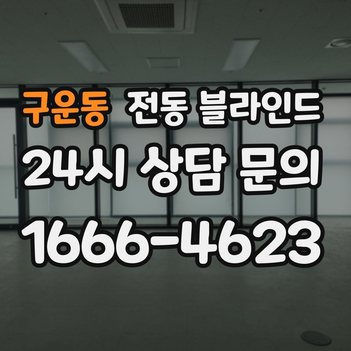 구운동 전동 블라인드
