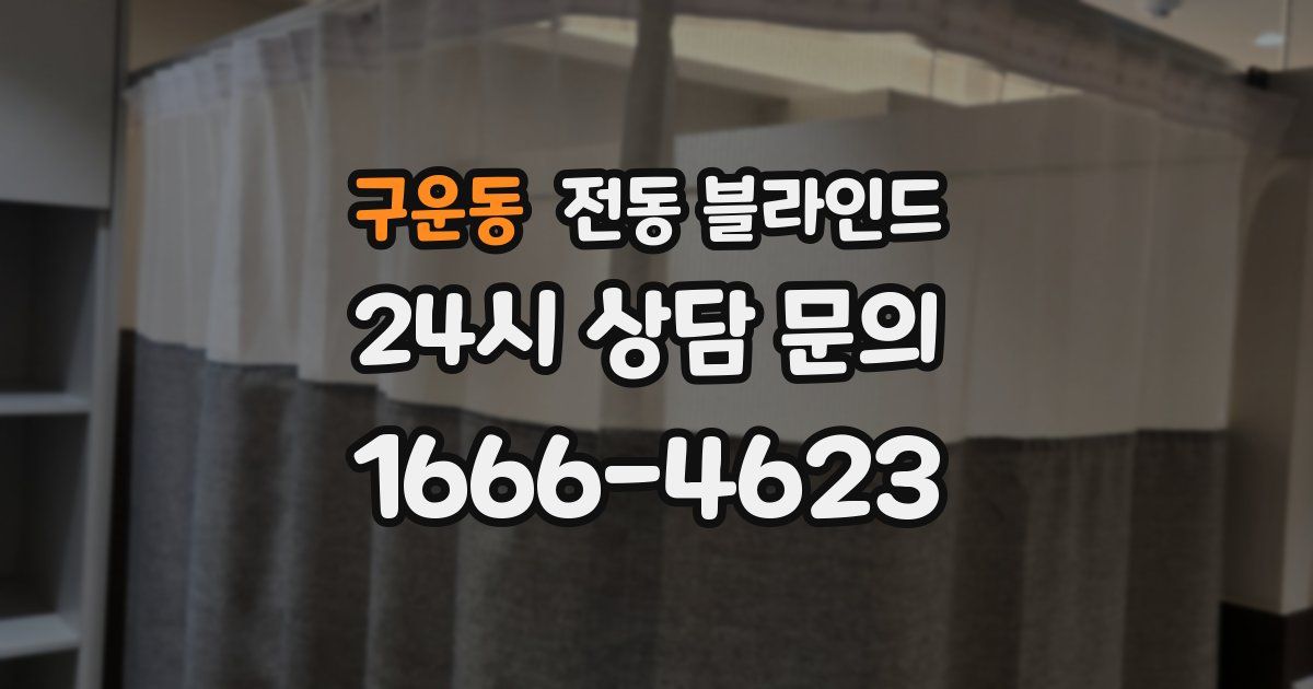 구운동 전동 블라인드