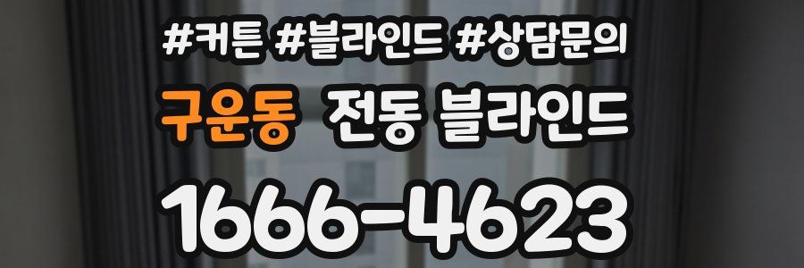 구운동 전동 블라인드
