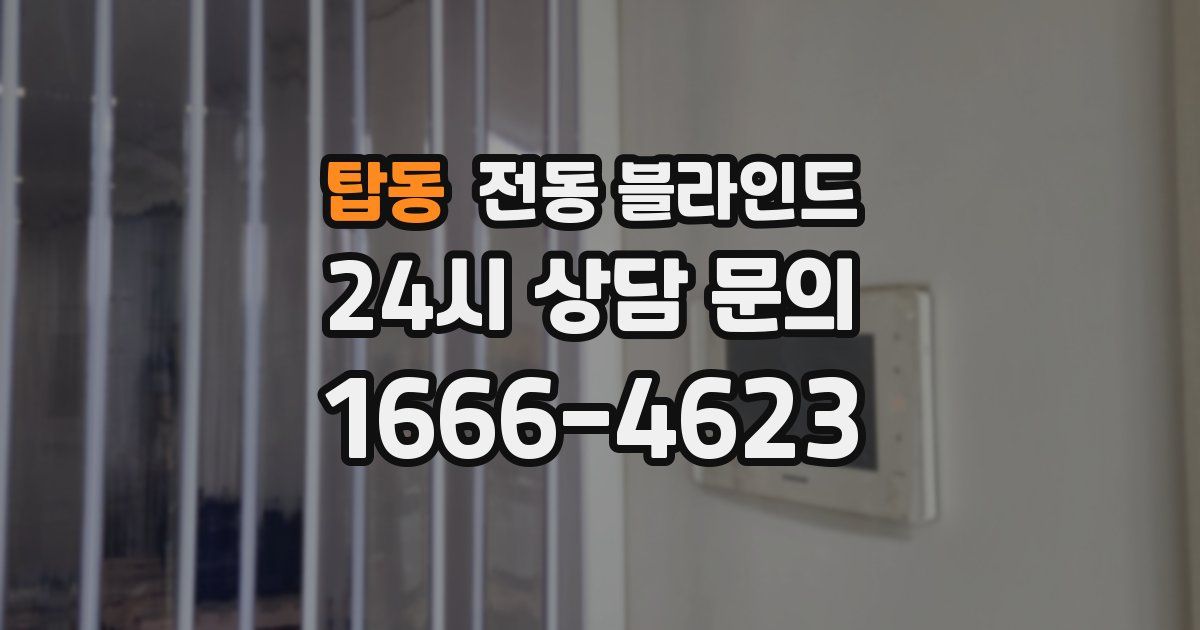 탑동 전동 블라인드