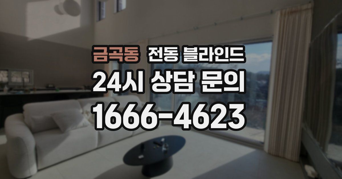 금곡동 전동 블라인드