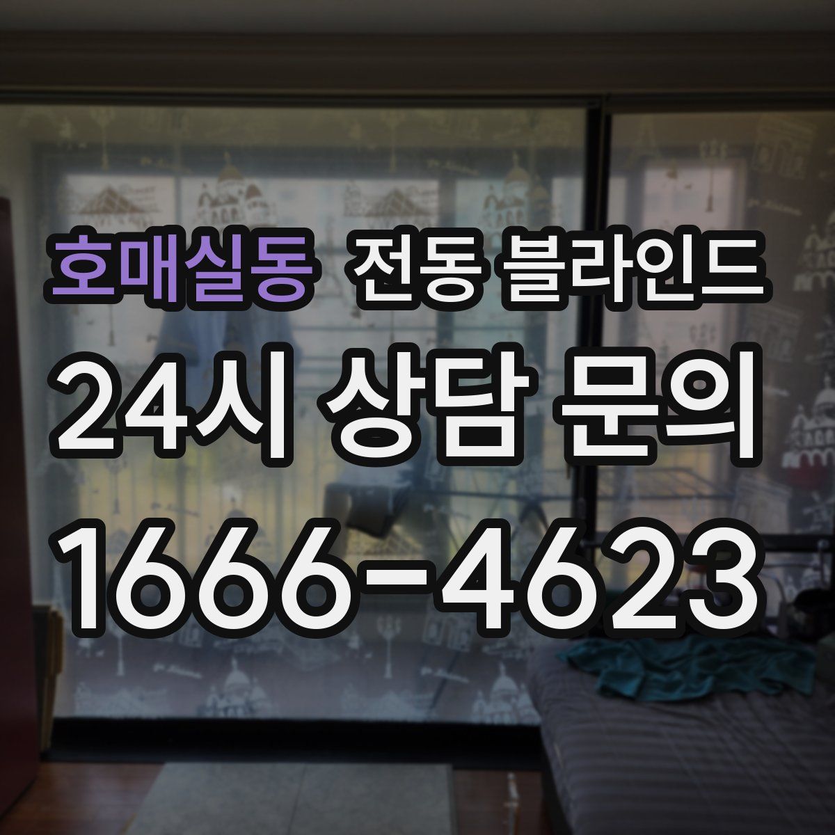호매실동 전동 블라인드