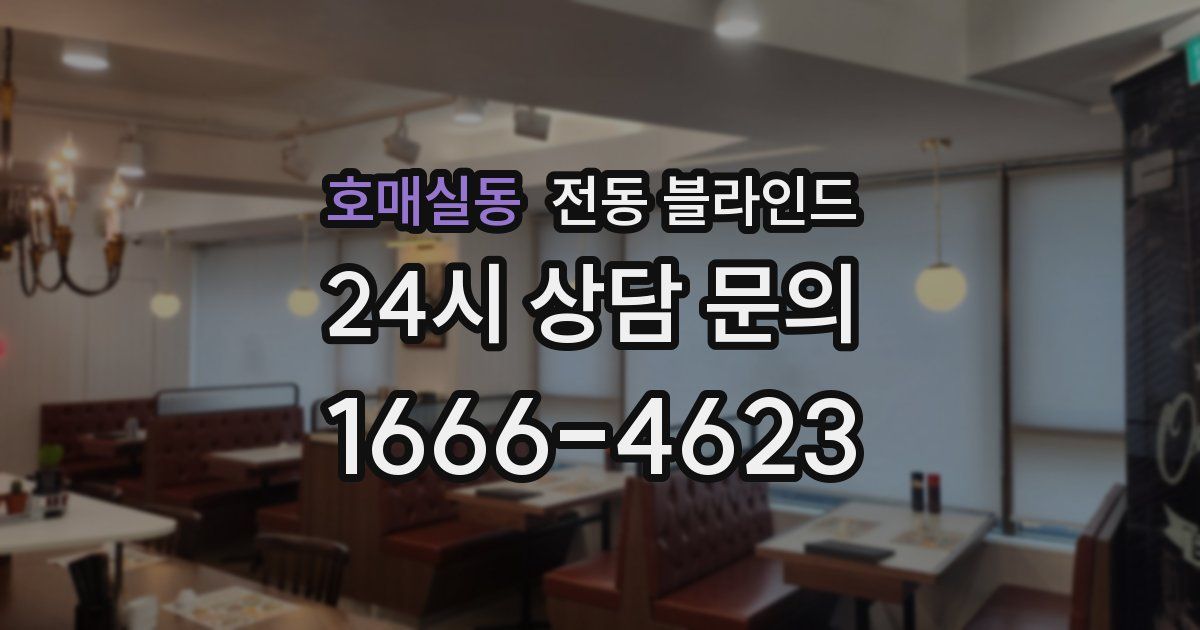 호매실동 전동 블라인드