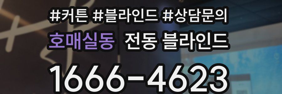 호매실동 전동 블라인드