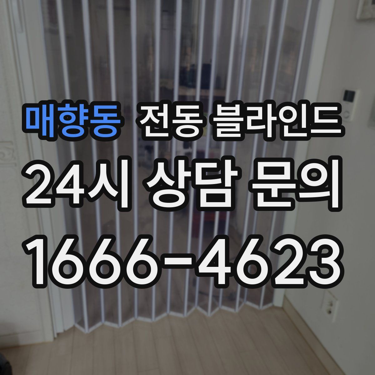 매향동 전동 블라인드