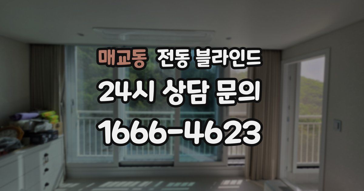 매교동 전동 블라인드