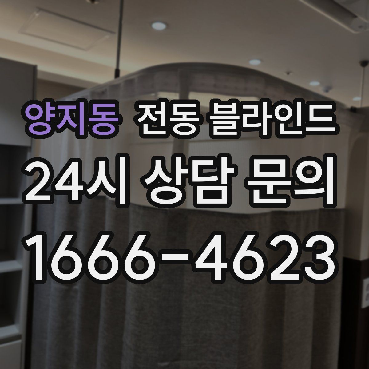 양지동 전동 블라인드
