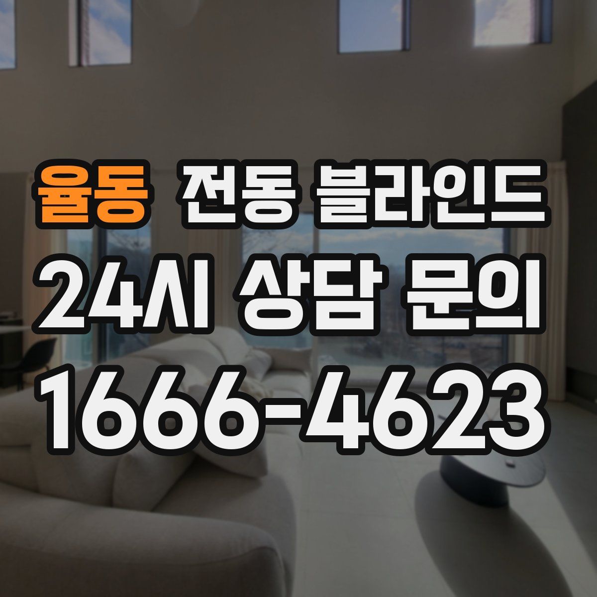 율동 전동 블라인드