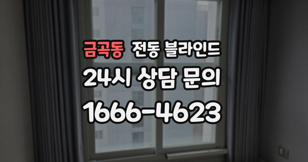 금곡동 전동 블라인드
