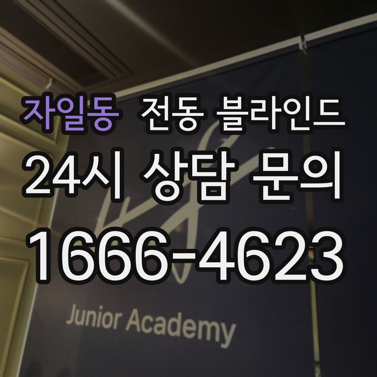 자일동 전동 블라인드
