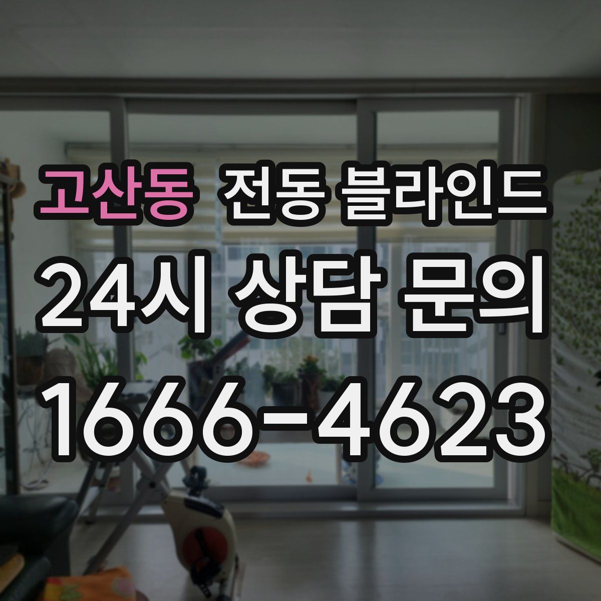 고산동 전동 블라인드