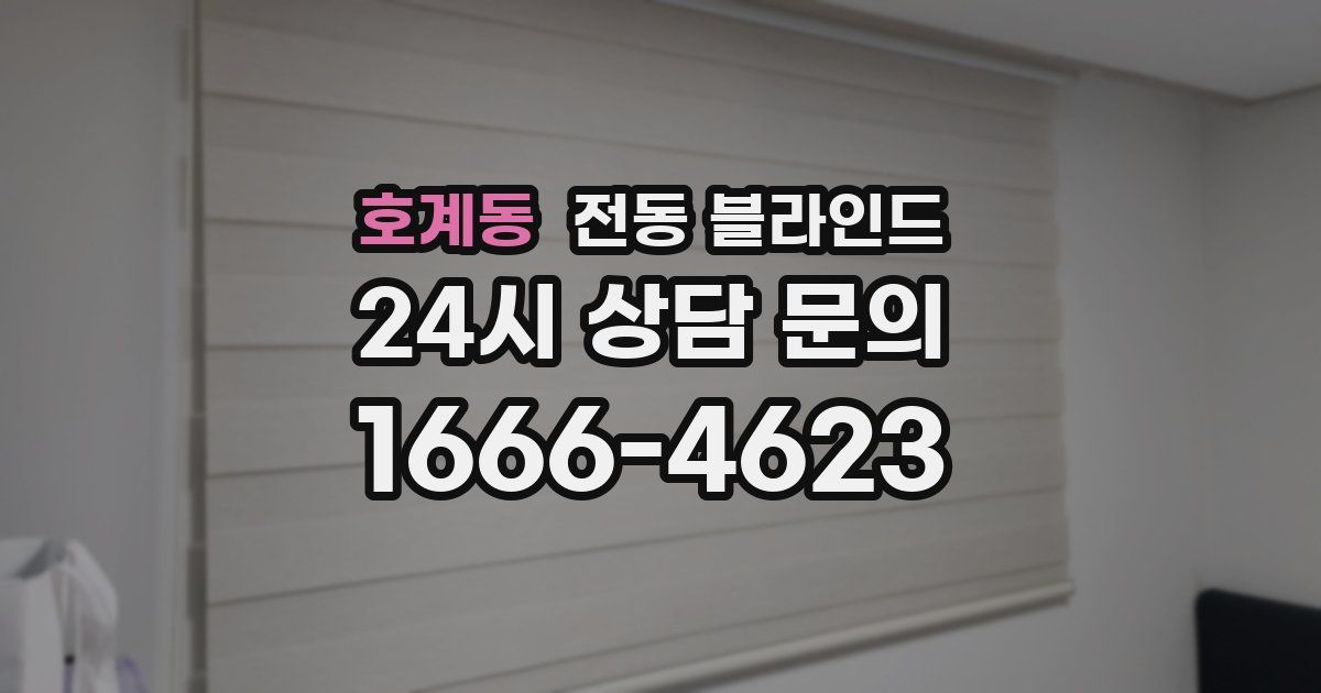 호계동 전동 블라인드