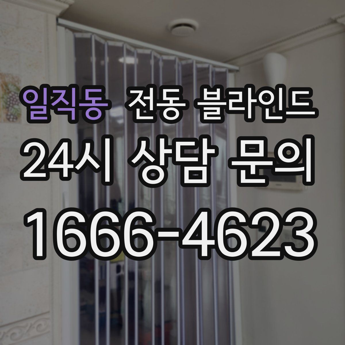 일직동 전동 블라인드