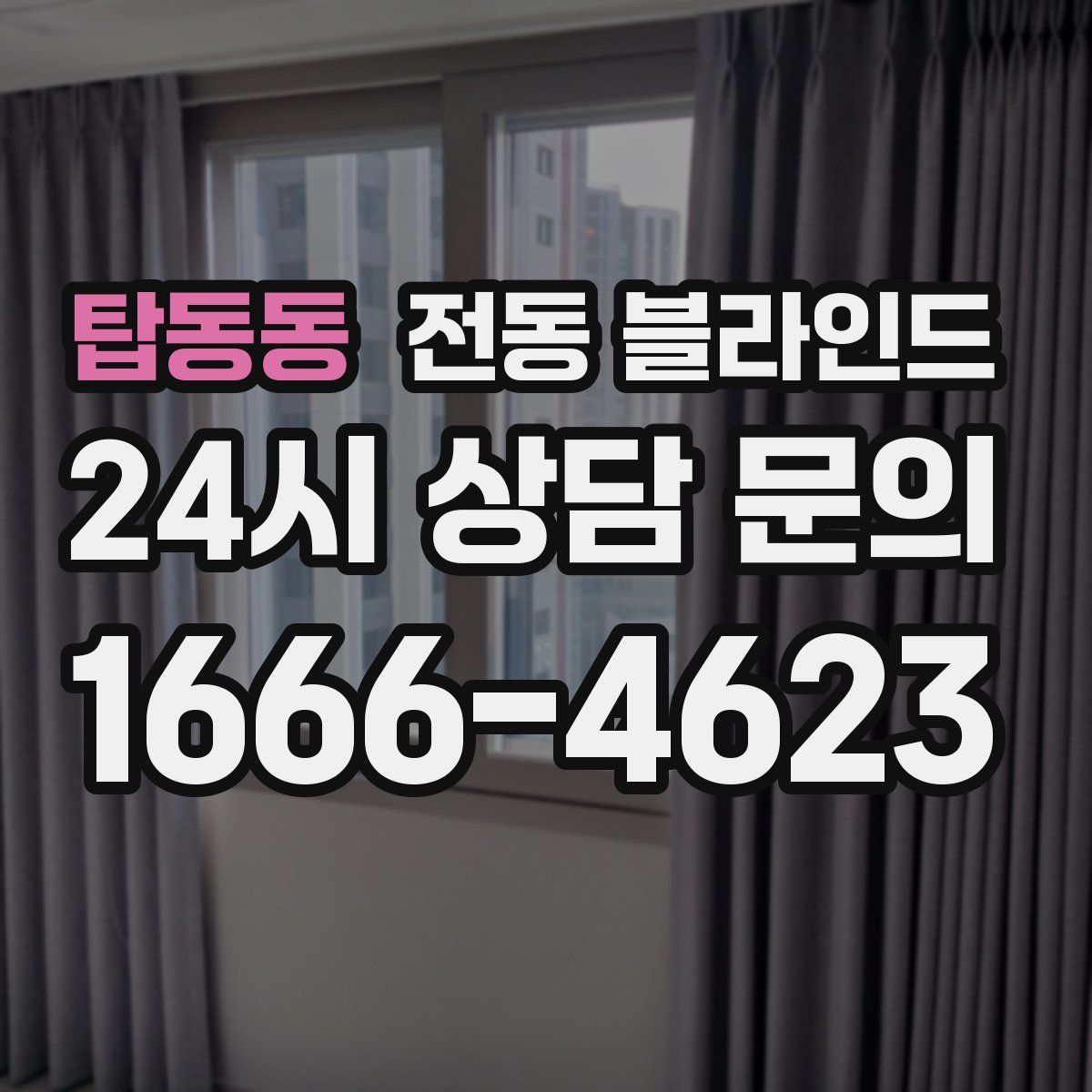 탑동동 전동 블라인드