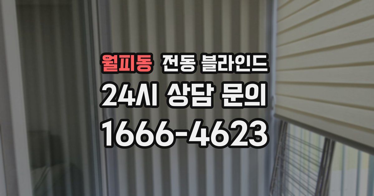 월피동 전동 블라인드