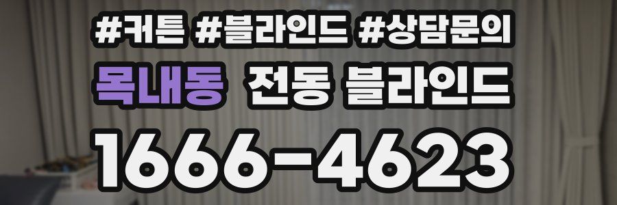목내동 전동 블라인드