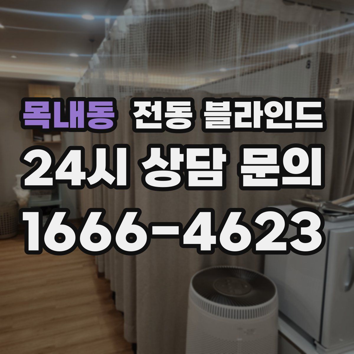 목내동 전동 블라인드