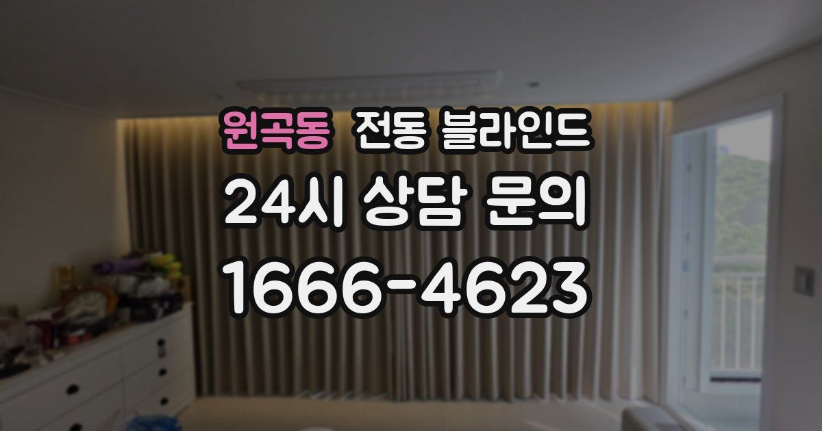 원곡동 전동 블라인드