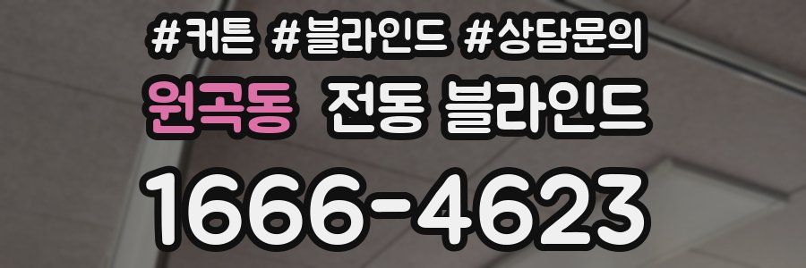 원곡동 전동 블라인드